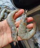 賣(mài)魚(yú)七郎青島鹽凍大蝦 白蝦 基圍蝦 鮮活青蝦海蝦對蝦 2.7斤凈重 只只分離 青島鹽凍大蝦 2.7斤(凈重)  /盒 1盒 曬單實(shí)拍圖