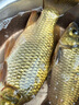 神鯊2.7米御凌粹28調(diào)魚桿野釣綜合竿超輕超硬釣魚竿鯉魚竿魚桿手竿 曬單實(shí)拍圖