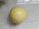 京鮮生 紅肉蜜柚 2粒 單果3-3.5斤 水果禮盒 曬單實(shí)拍圖