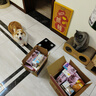 艾禾美（Arm&Hammer）鐵錘貓砂黑盒綠標(biāo)28磅 曬單實(shí)拍圖