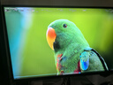 海信大圣G9 27英寸3A原畫(huà) 黑曜屏 2304分區 U+MiniLED 4K160Hz雙模320Hz 冰川白 電競顯示器 曬單實(shí)拍圖