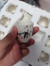 拜杰白酒杯套裝 分酒器 陶瓷烈酒吞杯小白酒洋酒杯9件套中式白酒杯 曬單實(shí)拍圖
