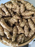 新鮮洋姜現(xiàn)挖現(xiàn)發(fā)野鬼子姜不辣農(nóng)家蔬菜醬產(chǎn)地直銷菊芋生洋姜 1500g 曬單實拍圖