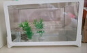 憨憨寵魚(yú)缸懶人魚(yú)缸過(guò)濾免換水生態(tài)一體缸塑料家用客廳辦公室桌面金魚(yú)缸 米白色基礎套餐（31*21*20cm） 曬單實(shí)拍圖