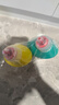 花王（KAO）免刷洗潔廁靈500ml*2瓶 廁所馬桶清潔劑強力去污去尿堿除垢潔廁液 曬單實(shí)拍圖