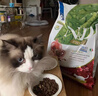 Farmina法米娜法明娜貓糧石榴雞無谷低敏高蛋白成貓幼貓糧5kg 蘋果豬肉5kg/2026.4月 飛萌防偽可查/順豐快遞 全年齡 曬單實拍圖