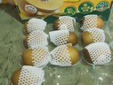 佳沛（zespri）新西蘭 陽光金果12粒單果約122-146g 獼猴桃 中秋水果禮盒 曬單實拍圖