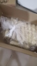 鴻運到家港式手拍撈面1300g 供港品質(zhì)方便面泡面速食拌面非油炸整箱 曬單實(shí)拍圖