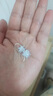 播匠S925銀冰花耳墜氣質(zhì)雪花耳環(huán)2025年新款潮百搭掛鉤耳飾送女友 銀耳飾 925銀 曬單實(shí)拍圖