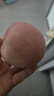 正宗煙臺(tái)蘋果棲霞紅富士脆甜新鮮水果整箱生鮮蘋果水果 凈重4.5斤75mm 曬單實(shí)拍圖