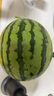 【產(chǎn)地直采】麒麟奶油西瓜 約4.5kg 曬單實(shí)拍圖