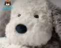 Jellycat唐布利牧羊犬動物毛絨玩偶安撫玩具狗公仔娃娃生日七夕情人節(jié)禮物 淺灰色 Medium 曬單實拍圖