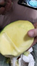 【新鮮上市】正宗攀枝花凱特芒果新鮮水果 帶箱2斤200g+ 曬單實拍圖