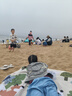 易旅（Etravel）野餐墊 迷你口袋掌上戶外加厚防潮墊便攜墊子沙灘墊 動物樂園中號 曬單實拍圖