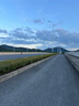 SWG銘勝夏季自行車騎行服背帶短褲男進(jìn)口坐墊山地公路車騎行褲子 凌霄背帶短褲-黑色 雙箭頭坐墊 L 曬單實(shí)拍圖