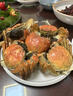 【活蟹】蟹九花大閘蟹 鮮活水產(chǎn)螃蟹生鮮公母蟹精美禮盒對裝 公3.8-4.1兩母2.8-3.1兩 5對10只 曬單實(shí)拍圖