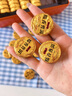 七春 小沱茶普洱茶500g共2盒糯米香熟茶葉黑茶小金磚餅節(jié)日送長輩禮盒 曬單實(shí)拍圖