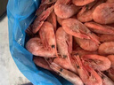 朵芙【頭籽北極蝦】4斤北極甜蝦 熟凍冰蝦元寶蝦腹籽甜蝦生鮮蝦類(lèi)禮盒 禮盒90-120精挑高頭籽 4斤(凈重) 曬單實(shí)拍圖