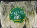 【高山鮮】鐘靈山羅馬生菜400g 曬單實(shí)拍圖