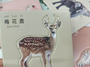 ZOCO拼圖0-3歲入門(mén)啟蒙兒童幼兒雙面圖文動(dòng)物可愛(ài)寶寶認(rèn)知玩具 【耐玩加厚+材質(zhì)安+雙面認(rèn)知】 【30張120片】動(dòng)物世界+車輛+蔬 曬單實(shí)拍圖