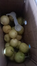 果益壽廣西欽蜜9號(hào)黃金百香果 新鮮水果白香果醬原漿整箱 超值30枚裝【單果30g以下】 曬單實(shí)拍圖
