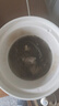 小熊（Bear）電燉鍋 電燉盅 煮粥神器煲湯鍋燉湯鍋 BB煲嬰兒煮粥鍋熬粥寶寶燉盅養(yǎng)生1-3人輔食鍋E15K2 1.5L 曬單實拍圖