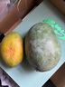 果戀匯（GUOLIANHUI）現貨海南三亞水仙芒新鮮特大芒果黃皮應季水果當季現摘整箱 凈重5斤中果 曬單實(shí)拍圖