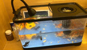 闊庭（KUOTING）魚缸水族箱生態(tài)桌面魚缸新款懶人魚缸生態(tài)造景過濾制氧一體機黑色 曬單實拍圖