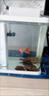小型魚(yú)缸過(guò)濾器內置超靜音制氧三合一體增氧凈水循環(huán)專(zhuān)用養魚(yú)馬桶 【魚(yú)缸過(guò)濾器】配氧管+過(guò)濾棉 曬單實(shí)拍圖