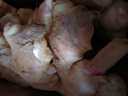 產(chǎn)地直發(fā)云南小黃姜新鮮生姜黃姜調味料新鮮蔬菜生鮮 3斤 裝 曬單實(shí)拍圖