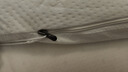 夢(mèng)怡舒天然乳膠床墊子0.9x1.9米泰國(guó)進(jìn)口橡膠學(xué)生宿舍單人榻榻米軟褥子 曬單實(shí)拍圖