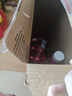王老吉涼茶310ml*12罐禮盒天然植物飲料清爽解辣新老包裝【張凌赫同款】 曬單實(shí)拍圖