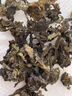 承真堂地皮菜干貨免洗野生新鮮地軟衣地達菜地木耳野菜甘肅特產(chǎn)雷公菌 【無(wú)沙免洗】【1罐】地皮菜250g 曬單實(shí)拍圖