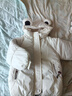 G.DUCKKIDS小黃鴨童裝兒童羽絨棉服男童棉衣小耳朵面包服中小女童棉襖過(guò)冬服 米白 100 尺碼2~3歲【 90-100cm】cm 曬單實(shí)拍圖