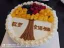 米蘇先生水果新鮮生日蛋糕同城配送祝壽禮物父母女友當(dāng)天配送日達到全國 祝福樹（期待美好未來） 12英寸（約6-10人食用） 曬單實拍圖