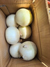 新疆正宗現(xiàn)挖白洋蔥白皮牙子 新鮮生吃涼拌菜手抓飯食材 新疆直發(fā) 5斤 曬單實(shí)拍圖