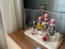 EACHY盲盒展示架收納盒透明防塵手辦玩具labubu泡泡瑪特展示盒-大號(hào) 曬單實(shí)拍圖