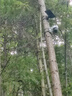 奧克斯4g太陽能攝像頭室外無電無網(wǎng)終身免費流量免插電手機(jī)遠(yuǎn)程高清監(jiān)控器家用戶外360度無死角全景夜視 曬單實拍圖