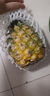 廣東香水菠蘿 徐聞菠蘿 新鮮水果非鳳梨現采現摘整箱包郵 【2個(gè)裝】?jì)糁?.6斤-2.8斤 曬單實(shí)拍圖