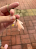 烤鴨掛件變色遇光紫外線會變色有趣惡搞燒鴨鑰匙扣黑科技創(chuàng)意玩具 小號【1個裝】 曬單實(shí)拍圖
