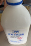 蘭格格 草原酸奶 專利活菌1kg*1 生鮮低溫酸牛奶 可制干噎希臘老酸奶 曬單實拍圖