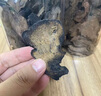 雄在 新疆肉蓯蓉500g/罐內蒙阿拉善金鎖陽(yáng)小葉淫羊藿男性滋補泡酒泡水 肉蓯蓉500g切片【備注可發(fā)整根】 曬單實(shí)拍圖