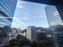 鮮京采小蹄膀 凈重4斤  源頭直發(fā) 曬單實拍圖