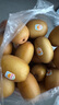 佳沛（zespri）新西蘭  陽(yáng)光金奇異果巨大果22粒原箱 單果重約144-175g 獼猴桃 曬單實(shí)拍圖