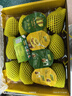 佳沛（zespri）新西蘭 陽(yáng)光金果12粒單果約122-146g 獼猴桃 中秋水果禮盒 曬單實(shí)拍圖