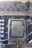 英特爾i3 13100 13100F i5 13400F 13600KF i7-13700KF 13900KS 13代CPU 英特爾i5-13490F二手/保一年 曬單實(shí)拍圖