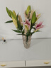 AB級(jí)優(yōu)質(zhì)香水百合鮮花水培插花家庭生活水養(yǎng)鮮切花苞云南產(chǎn)地直發(fā) 高品質(zhì)【AB級(jí)羅曼蒂克】香水百合10朵+百合粉 曬單實(shí)拍圖