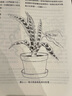 【全新塑封正版】光之手：人體能量場(chǎng)療愈全書(shū) 芭芭拉安布藍能 身心靈療愈教材 曬單實(shí)拍圖