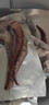 戀品惠二本足魷魚(yú)須 新鮮冷凍魷魚(yú)爪二本足八爪魚(yú)足鐵板魷魚(yú)火鍋年貨 二本足魷魚(yú)須10包 450g(凈重)  /包 曬單實(shí)拍圖