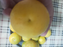 屈姑[宜昌秭歸產(chǎn)地直發(fā)]夏橙臍橙果園新鮮采摘原產(chǎn)地果園橙子手剝橙 3斤實(shí)惠裝果徑（果徑55-60mm） 曬單實(shí)拍圖